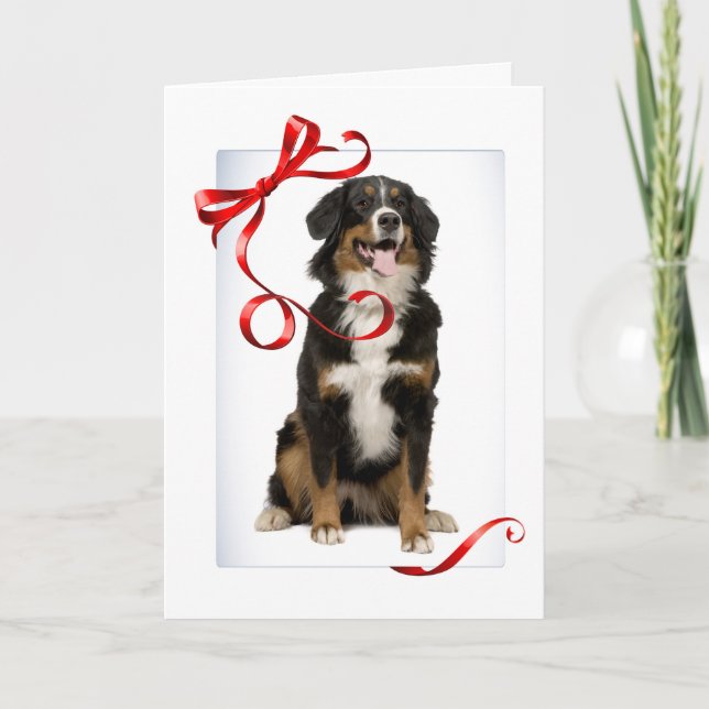 Bernese Mt. Dog Christmas Card (Front)