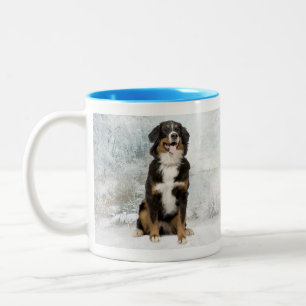 Bernese Mt. Dog Mug