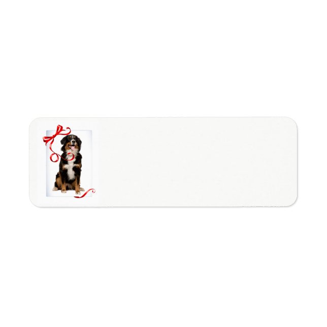 Bernese Mt. Dog Return Address Labels (Front)