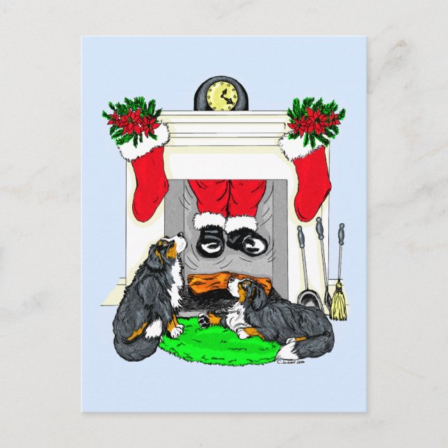 Bernese Mt Dog Santa Drops In Holiday Postcard (Front)