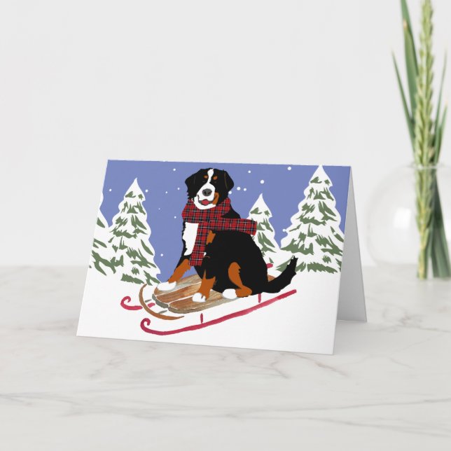 Bernese Mt Dog Sled Holiday Card (Front)