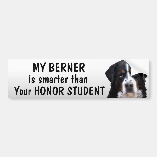 Bernese Mt Dog - Smarter than student - funny Bumper Sticker (Front)