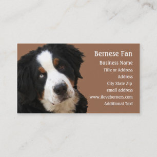 Bernese Mtn Dog Business Card - "Lucy"