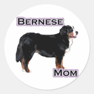Bernese Mum 4 - Sticker