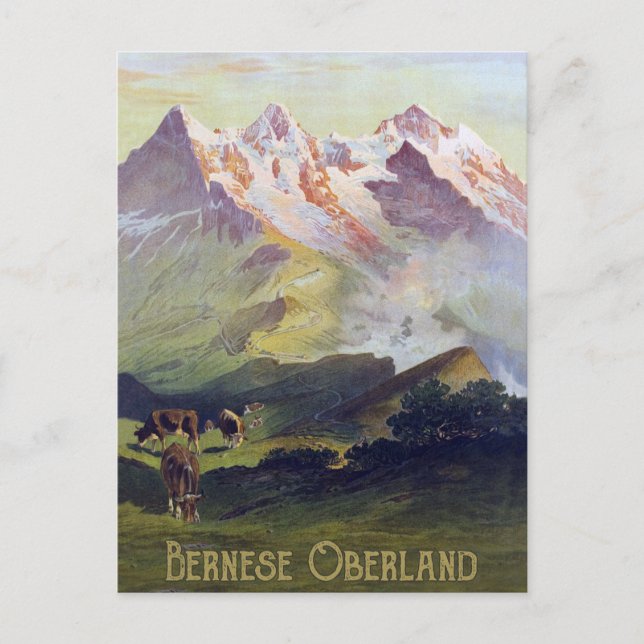 Bernese Oberland, Switzerland Postcard (Front)