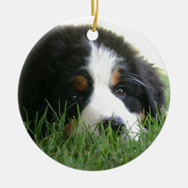Bernese Puppy Ceramic Tree Decoration (Front)