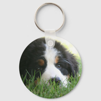 Bernese Puppy Key Ring
