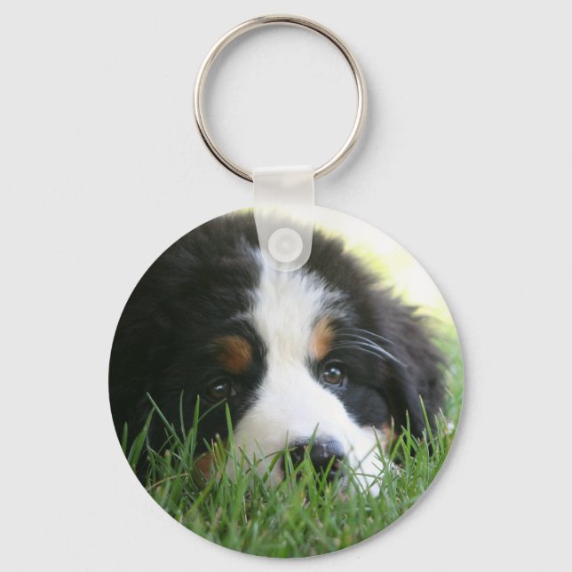 Bernese Puppy Key Ring (Front)