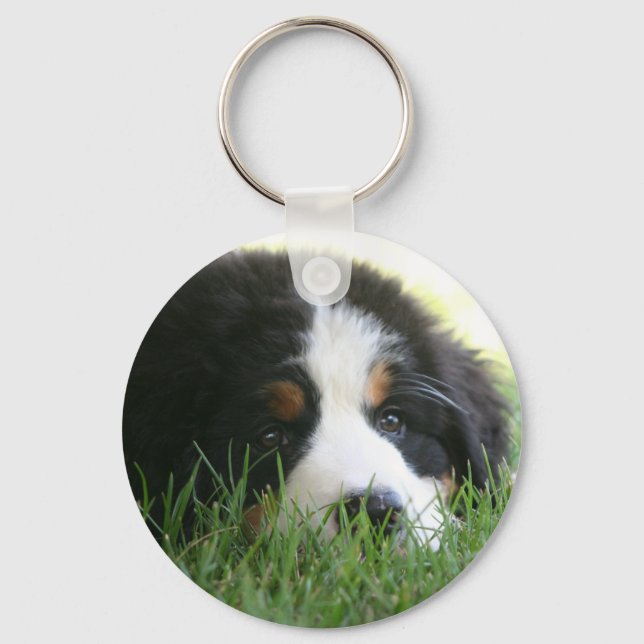 Bernese Puppy Key Ring (Front)