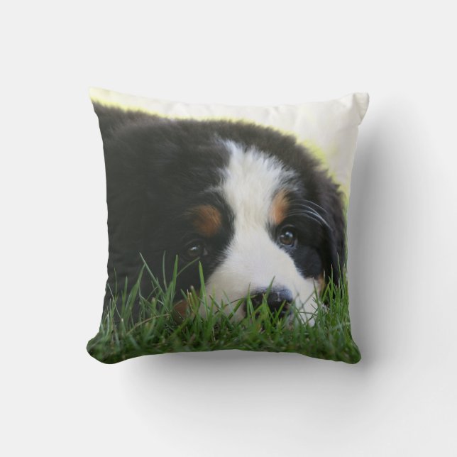 Bernese Puppy Pillow (Front)