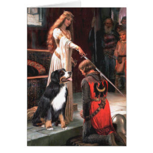 Bernese - The Accolade