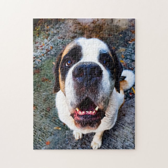 Bernhadn Jigsaw Puzzle (Vertical)