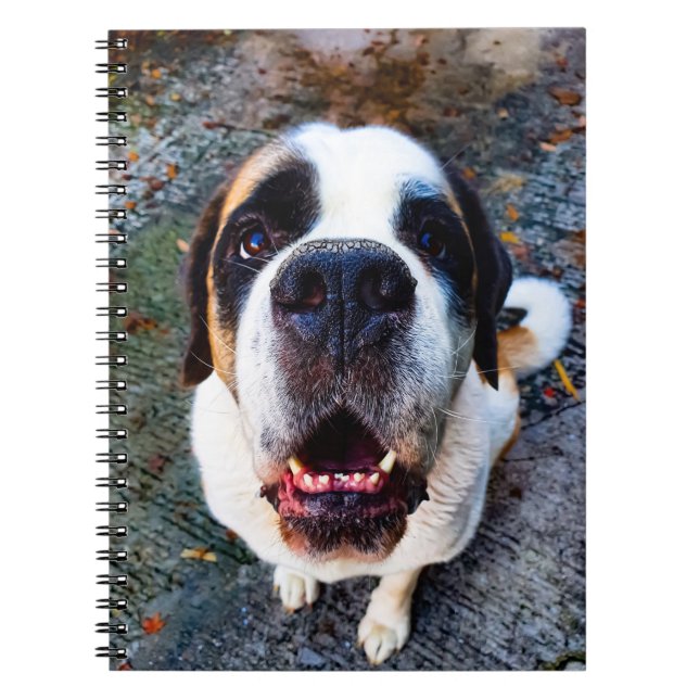 Bernhadn Notebook (Front)