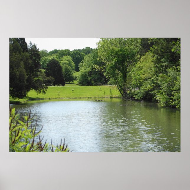 Bernheim Forest Pond Print (Front)