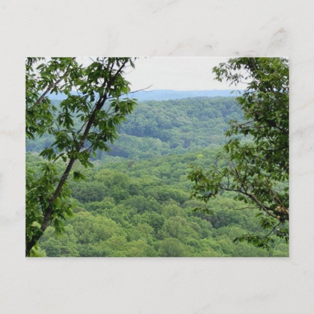 Bernheim Forest Postcard (Front)