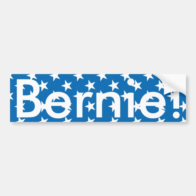 Bernie Bumper Sticker (Front)