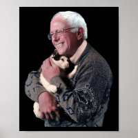 Bernie Sanders Hugging Cat Shirt Cute Animal Lover