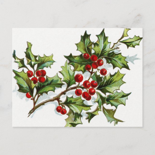 Berries001 Postcard (Front)