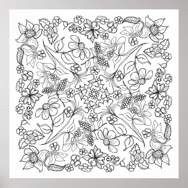 Berries and Flowers Beautiful Colour Me Poster (Front)