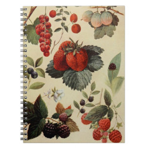 BERRIES BERRIES notebook