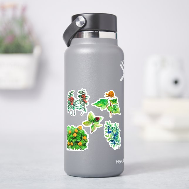 Berries, blueberry, lingonberry, cloudberry  (HydroFlask)