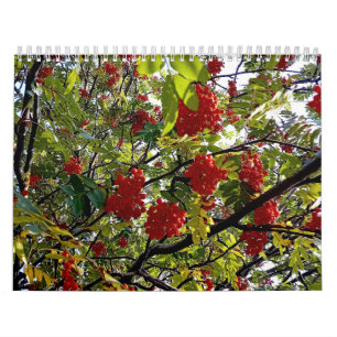 Berries Calendar