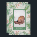 Berries Pines Holiday Photo Birth Announcements<br><div class="desc">Elegantly sweet holiday birth announcements feature your favourite newborn baby photo with a border of pines and berries, your baby's name, birth stats and parents names in any font and font colour. Change the colour on the back and add more photos on the back, too! **ADD more photos or details...</div>