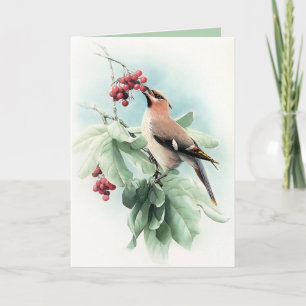 Berries To Eat Card