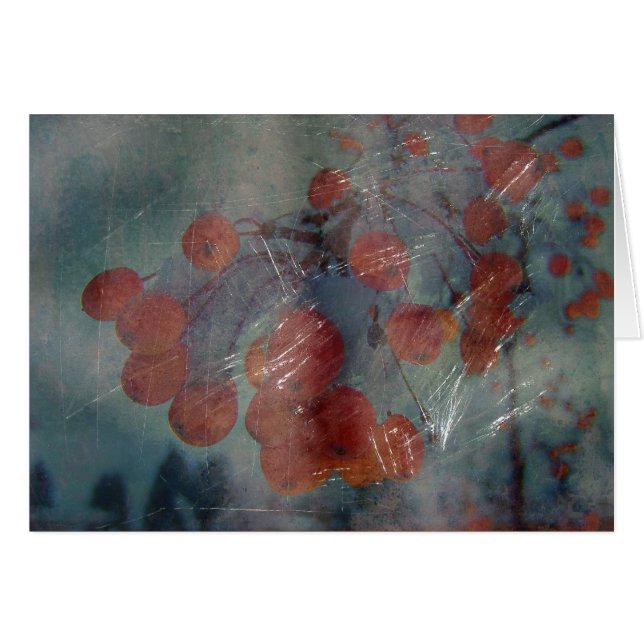 Berrries Grunge (Front Horizontal)