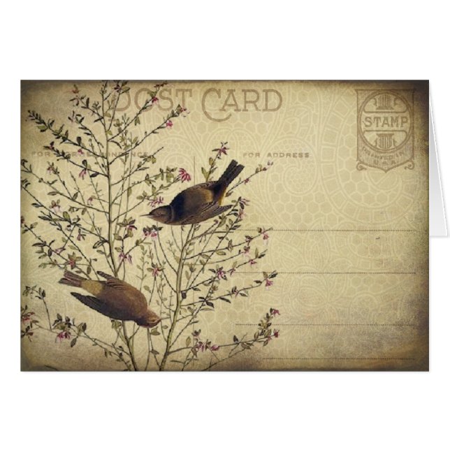 Berry Birds (Front Horizontal)