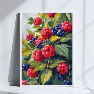 Berry Bush Raspberry Blackberries Watercolor Fruit Poster