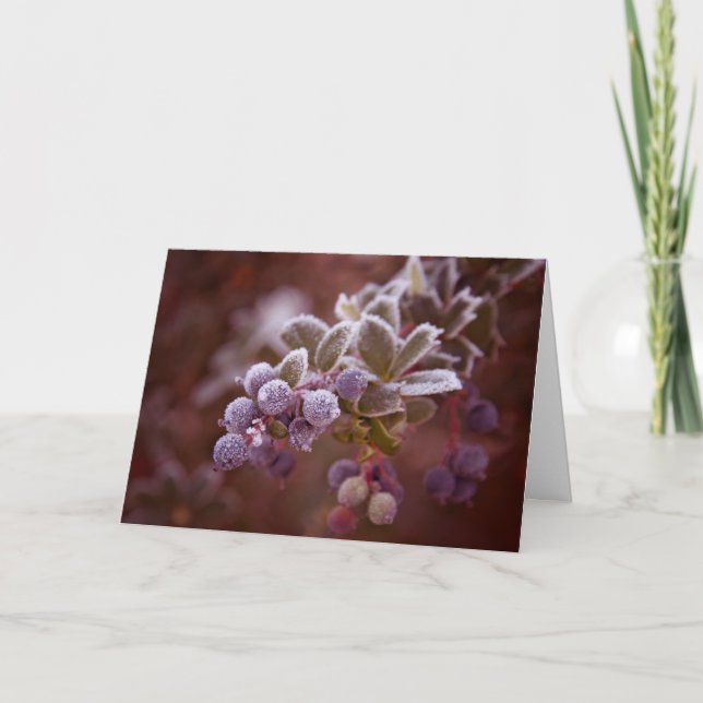 Berry Christmas Holiday Card (Front)