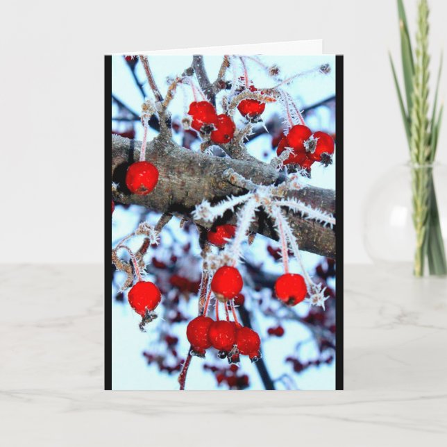 Berry Christmas! Holiday Card (Front)