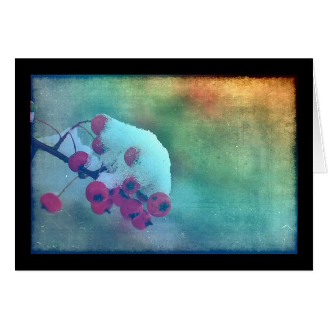 Berry Cold (Front Horizontal)