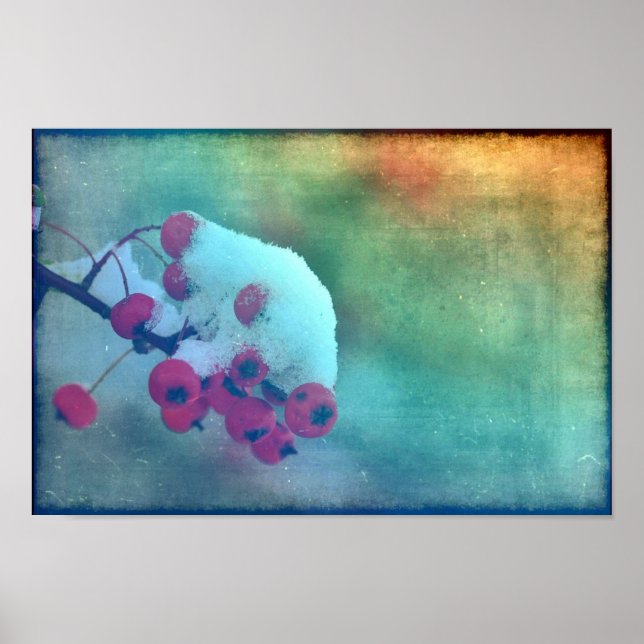 Berry Cold Poster (Front)