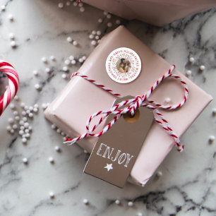 Berry, leaf red Happy Holidays Christmas photo Classic Round Sticker