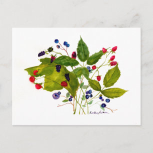 berry postcard
