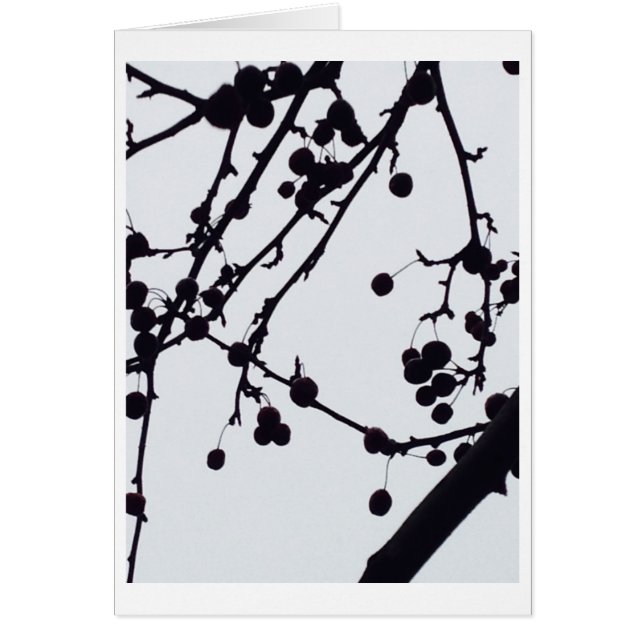 Berry Tree Against the Sky (Front)