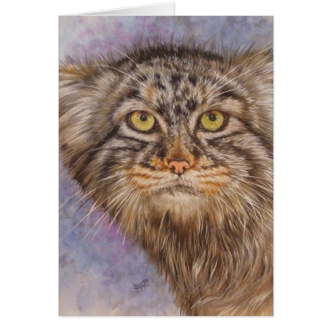 Berry's Pallas Cat (Front)