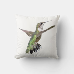 Berylline hummingbird cushion