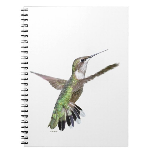 Berylline Hummingbird Painting Spiral Notebook (Front)