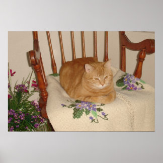 besha poster