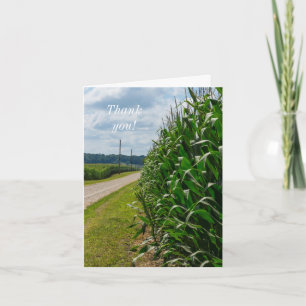 Beside A Corn Field Thank You Card