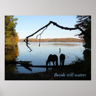 Beside still waters poster