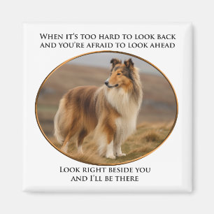 Beside You Collie Magnet