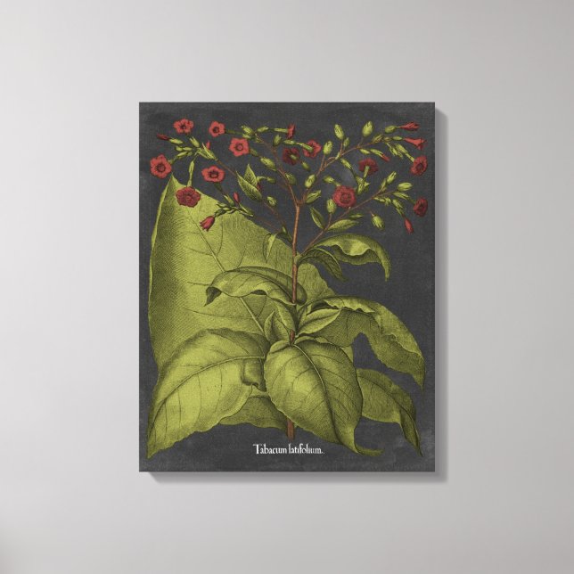 Besler Dramatique I Canvas Print (Front)