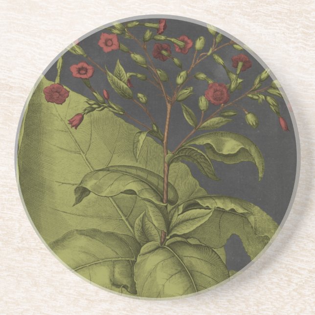 Besler Dramatique I Coaster (Front)