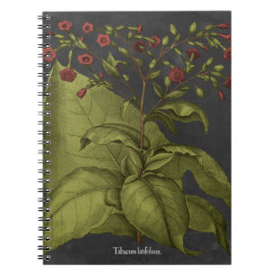 Besler Dramatique I Spiral Notebook