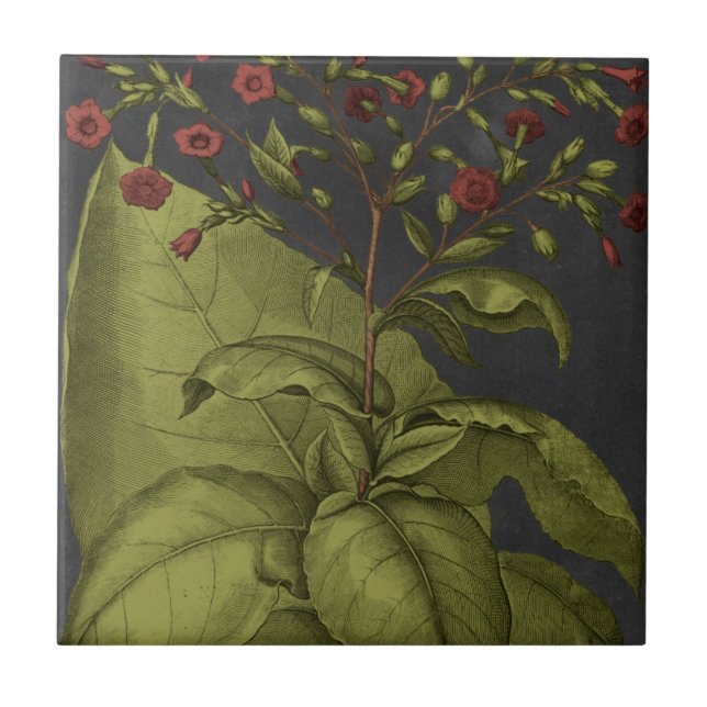 Besler Dramatique I Tile (Front)