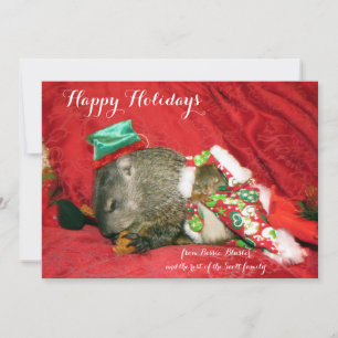 Bessie and Bluster Holiday Invitation/Photocard Card